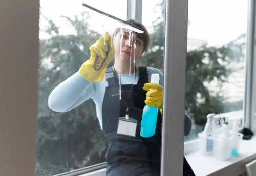 Nettoyage de vitres intérieures et extérieures à Chabanière